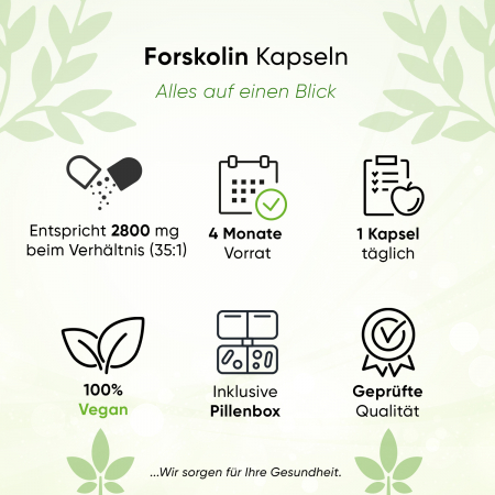 BIOTARY Forskolin Extrakt - 120 Kapseln